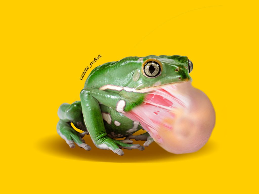 Graphic-Designer- Creative Content - Frog gum - by-Paulette-Studio